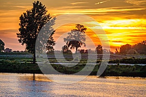 A beautiful sunset in a quiet place along the river Maas near Heusden.