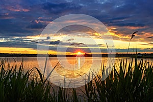 Beautiful sunset on the river, with grass in the foreground, the sun in the form of a star with rays and reflections