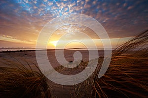 Beautiful sunset and sand dunes