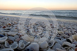 Beautiful sunset at Sanibel Island, Florida