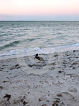 Beautiful sunset at Sanibel Island, Florida