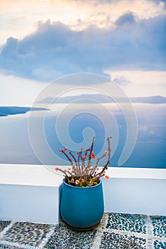 Beautiful sunset at Santorini island, Greece. Flowers on the terrace with sea view