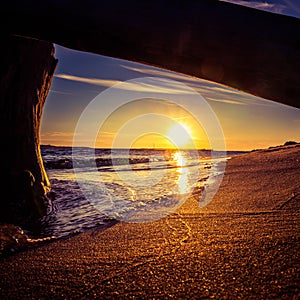 A beautiful sunset seaside scenery with an old tree parts on the beach.