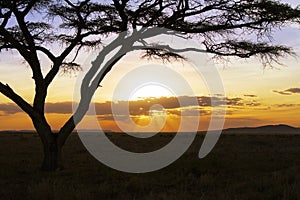 Beautiful sunset in Serengeti Africa