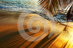 Beautiful sunset at Seychelles beach with palm tree shadow