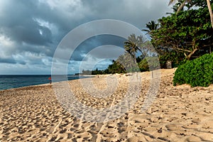 Beautiful sunset shoreline at tropical sandy beach in Oahu island