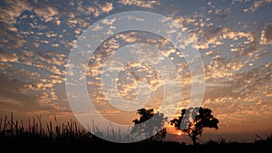 Beautiful sunset with silhouette tree and wooden hut in foreground