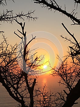 South african sunset from lions head - capetown photo