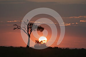 Beautiful sunset or sundown at the heart of African Savanna the famous Masai Mara