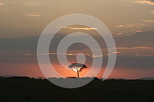 Beautiful sunset or sundown at the heart of African Savanna the famous Masai Mara