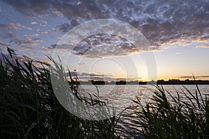 Beautiful sunset or sunrise above a lake early summer evening with reed grass