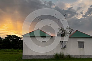 Sunset, Sunrise in home with flying birds in sky