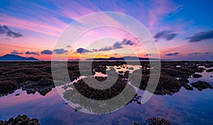 Beautiful sunset or sunrise seascape amazing cloud at sunrise light above the coral reef in Rawai sea Phuket Severe low tide