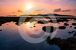 Beautiful sunset or sunrise seascape amazing cloud at sunrise light above the coral reef in Rawai sea Phuket Severe low tide