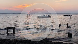 Beautiful Sunset Time lapse video near seashore