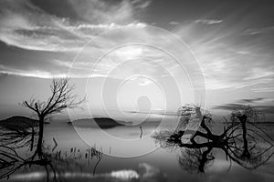 Beautiful sunset at Trasimeno lake Umbria, with perfectly still water and skeletal trees