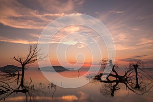 Beautiful sunset at Trasimeno lake Umbria, with perfectly still water, skeletal trees and beautiful warm colors