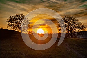 Beautiful sunset and tree silhouette