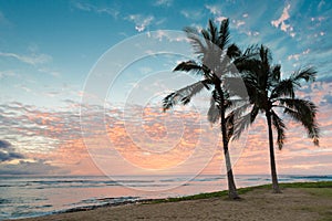 Beautiful sunset with two palm trees over the ocean horizon