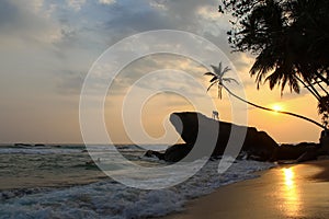 Beautiful sunset under the plams on the troical beach. Unawatuna, Sri Lanka