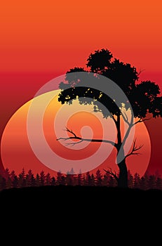 Beautiful sunset , Vector illustrations landscape
