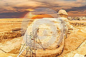 Beautiful sunset view on the back sight of the Great Sphinx and the buildings of Giza, Egypt