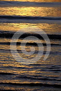 Beautiful sunset view on the beach. Colorful sea beach sunset with golden light reflected on the water surface and soft waves.