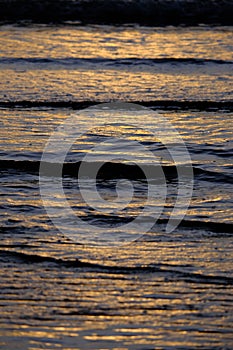 Beautiful sunset view on the beach. Colorful sea beach sunset with golden light reflected on the water surface and soft waves.