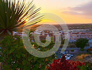 Beautiful sunset view with tropical plants in Costa Adeje,Tenerife,Canary Islands, Spain.