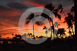 Beautiful Sunset On Waikiki Beach. photo