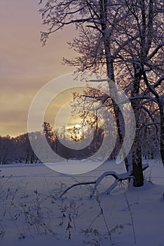 Beautiful sunset in winter park