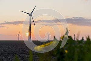 Beautiful sunset yellow, orange sky with dutch windturbines.