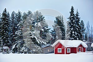 Beautiful super Finnish landscape