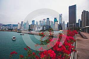 Beautiful super wide-angle summer aerial view of Hong Kong island skyline, Victoria Bay harbor, with skyscrapers, blue sky