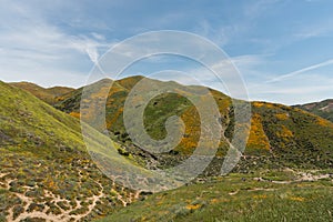 Beautiful superbloom vista in a mountain range near Lake Elsinore