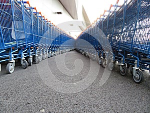 Beautiful supermarket carts piled up in line waiting to be caught to transport goods photo
