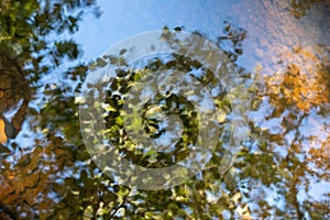 Beautiful surreal treetops reflected in still, tranquil stream.