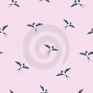 Beautiful swallow on a pink background. Watercolor illustration. Spring bird brings love. Handwork. Seamless pattern photo