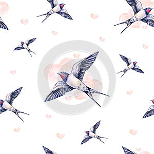 Beautiful swallow on a white background. Watercolor illustration. Spring bird brings love. Handwork. Seamless pattern