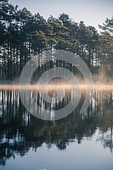 A beautiful swamp pond with a raising mist during the sunrise. Quagmire in a frowen wetlands in autumn. Bright light with sun flar