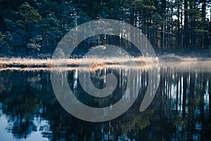 A beautiful swamp pond with a raising mist during the sunrise. Quagmire in a frowen wetlands in autumn. Bright light with sun flar