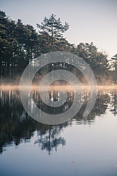 A beautiful swamp pond with a raising mist during the sunrise. Quagmire in a frowen wetlands in autumn. Bright light with sun flar