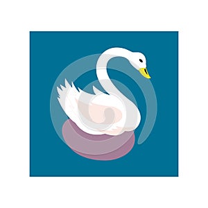 beautiful swan vector illustration on clean white