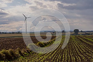 Beautiful Swietokrzyskie Province. A view of the fields with aftercrops. And a windmill that produces electricity.