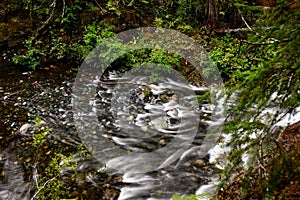 Rain forest creek in Pacific Rim National Park on Vancouver Island near Tofino