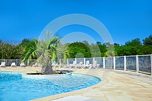 Beautiful swimming pool with clear blue water and green palm tree. Sunny summer day with blue sky