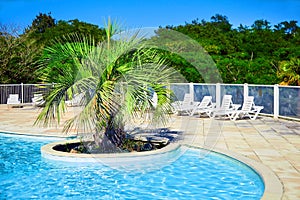 Beautiful swimming pool with clear blue water and green palm tree. Sunny summer day