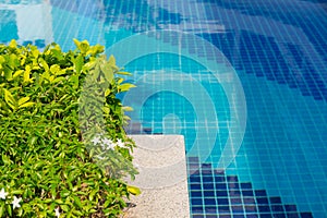 Beautiful Swimming pool in hotel pool resort