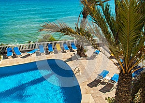 Pool with a palm tree near the sea