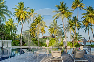 Beautiful swimming pool tropical area with beach chairs and palm trees at Maldives